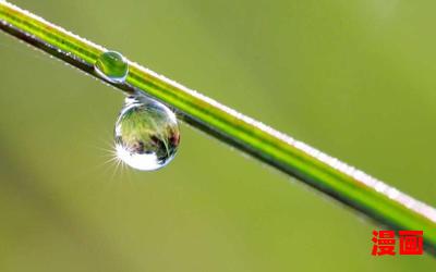 露珠最新章节-露珠无弹窗全文阅读