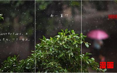 雨一直下风一直刮最新章节目录-雨一直下风一直刮全文免费阅读无弹窗