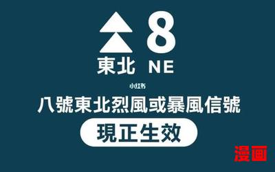 八号风球(免费阅读)小说全文阅读无弹窗 - 八号风球最新章节列表